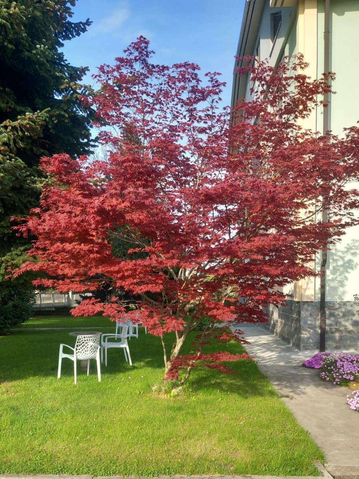 B&B Il Castagno Roccavione Luaran gambar